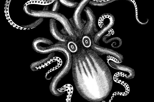 Kraken at зеркало