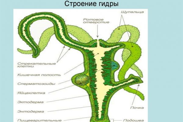 Kraken маркетплейс зеркала